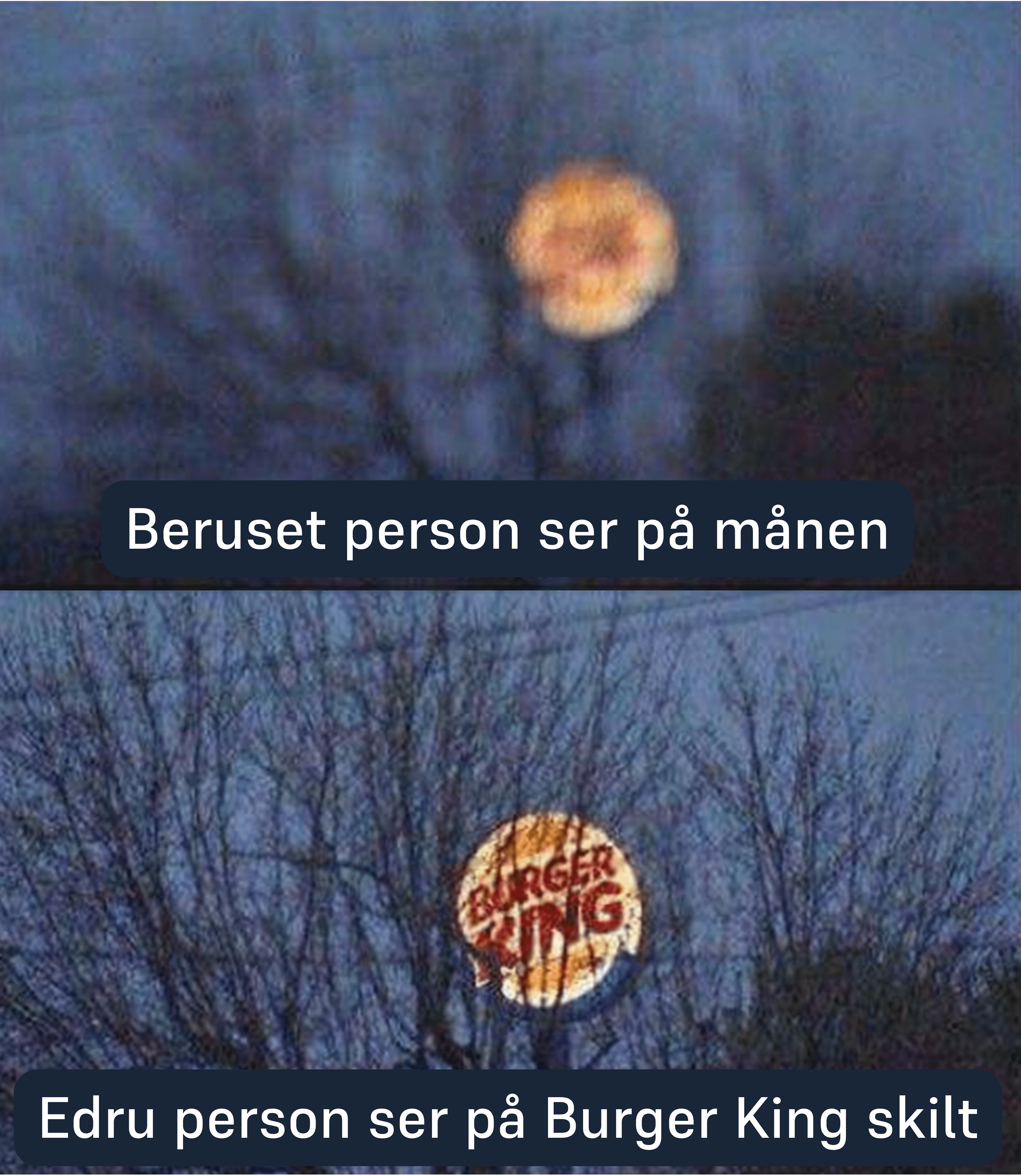 Beruset person ser på månen, mens edru person ser på Burger King skilt.